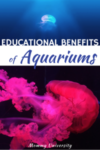 Educational Benefits of Aquariums