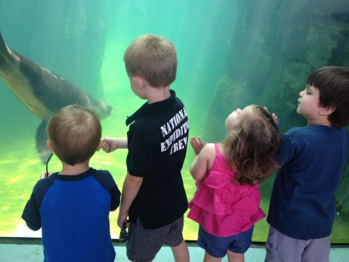 Visiting a zoo allows for exploration and discovery while sparking curiosity and creativity!