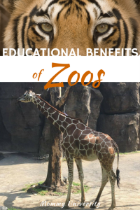 Educational Benefits of Zoos