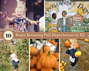 Fall Experiences