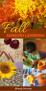 Fall Sensory Learning