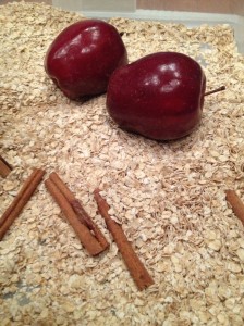 Apples and Cinnamon Bin