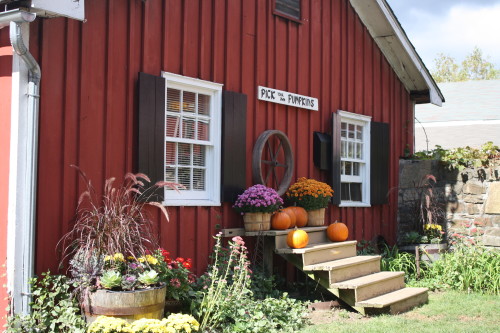 Hacklebarney Farm Cider Mill is a gorgeous historic farm that offers activities for the entire family to enjoy!
