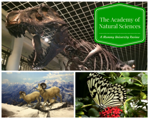 Academy of Natural Sciences