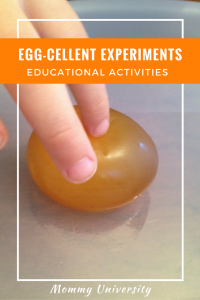 Egg-cellent Experiments