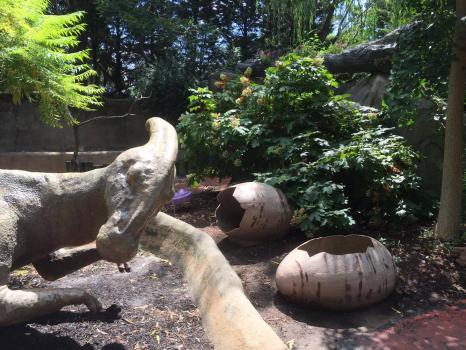 Where to Discover Dinosaurs in New Jersey