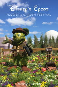 Disney's Epcot Flower and Garden Show