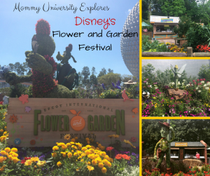 Flower and Garden Festival