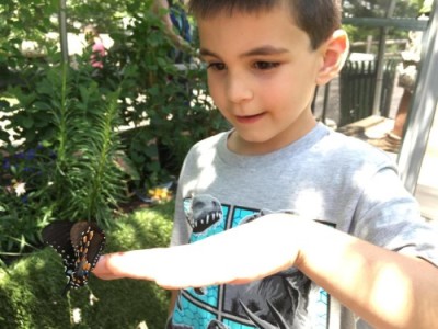 Butterfly Garden at Turtle Back Zoo