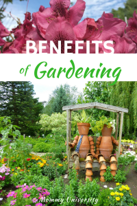 Benefits of Gardening