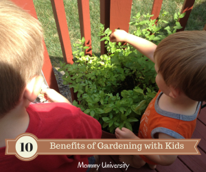 Benefits of Gardening