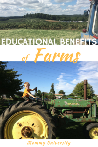 Educational Benefits of Farms