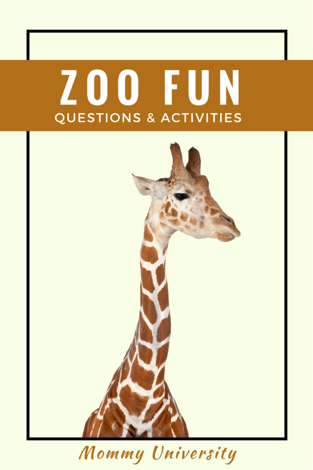 Zoo Fun: Questions and Activities to Enhance Your Trip | Mommy University