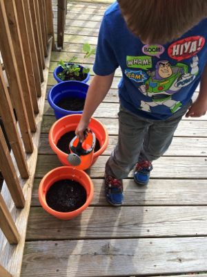 Gardening teaches kids to be responsible for their plants by caring for them every day!