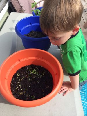 When gardening, kids have to patiently wait for their seeds to grow!