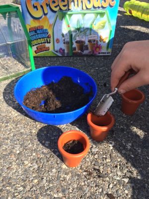 My boys had so much fun adding the dirt and seeds to the small pots.