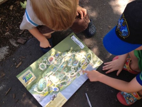 My boys had so much fun looking for animals from specific parts of the world!
