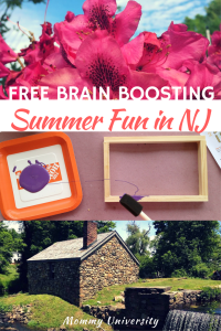 FREE Brain Boosting Summer Fun