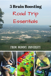 5 Brain Boosting Road Trip Essentials