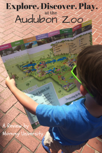 Audubon Zoo Review