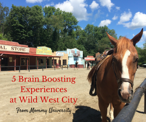 5 Brain Boosting Experiences at Wild West City