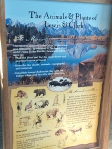 Animals and Plants of Lewis and Clark