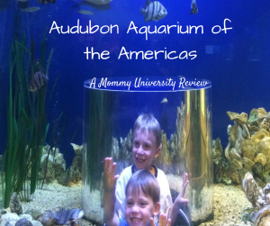 Audubon Aquarium