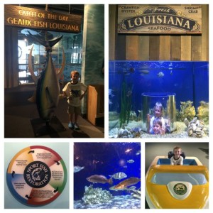 Geaux Fish Louisiana Collage