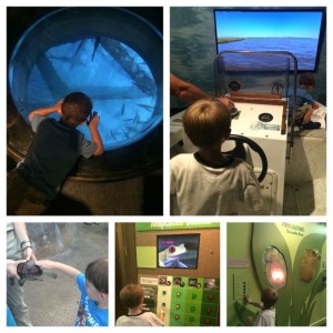 I love all the interactive learning opportunities that guests can experience at the Audubon Aquarium!