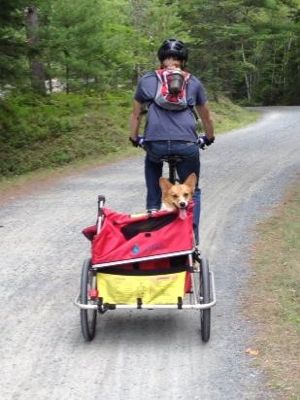 While biking and hiking with our dogs, we always carry enough water for all of us!