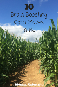 10 Brain Boosting Corn Mazes