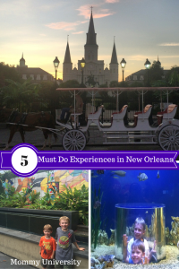 5 Must Do Experiences in New Orleans