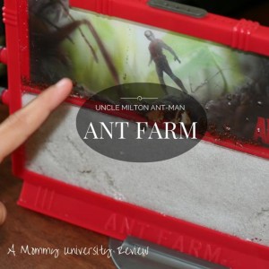 Ant Farm