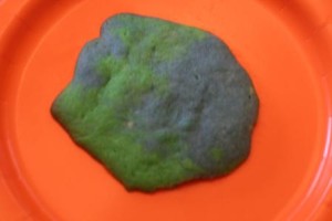 Earth Cookies