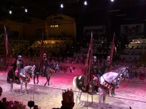 With so many amazing entertainers, Medieval Times makes for a wonderful introduction to the performing arts.