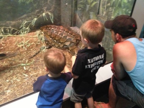 My kids love looking at the snakes at the Turtle Back Zoo!
