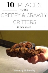 10 Places to See Creepy and Crawly Critters