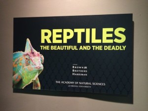 Academy Reptiles Exhibit