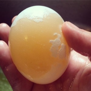 How cool is this egg after being soaked in vinegar?