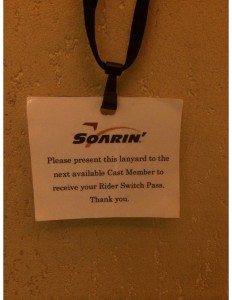 Soarin' Lanyard