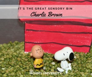 Peanuts Sensory Bin