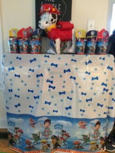 Paw Patrol Favors and Pinata