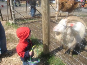 Easter on a Farm