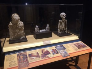 Mummy Reproductions at The Franklin Institute