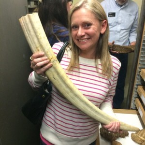 Academy Elephant Tusk