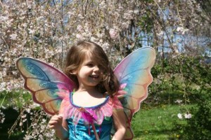 Rainbow Fairy