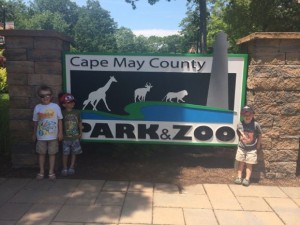 Cape May County Zoo Sign