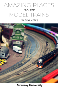 Model Trains in NJ