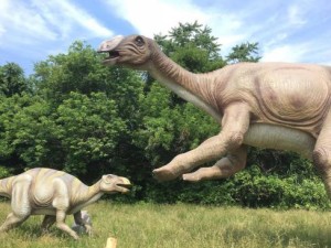 Field Station: Dinosaurs