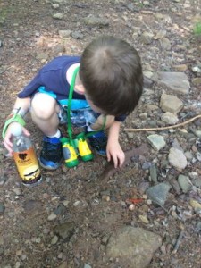 On our last nature walk we found this orange lizard!